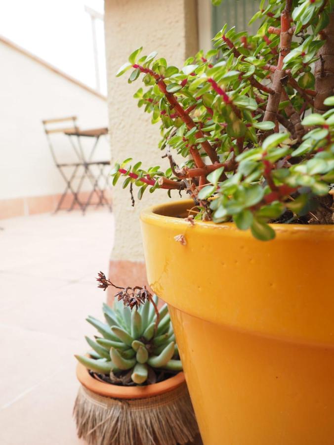 Apartaments La Rambla - Arbequina - 6 Persones 科尔努德利亚 外观 照片